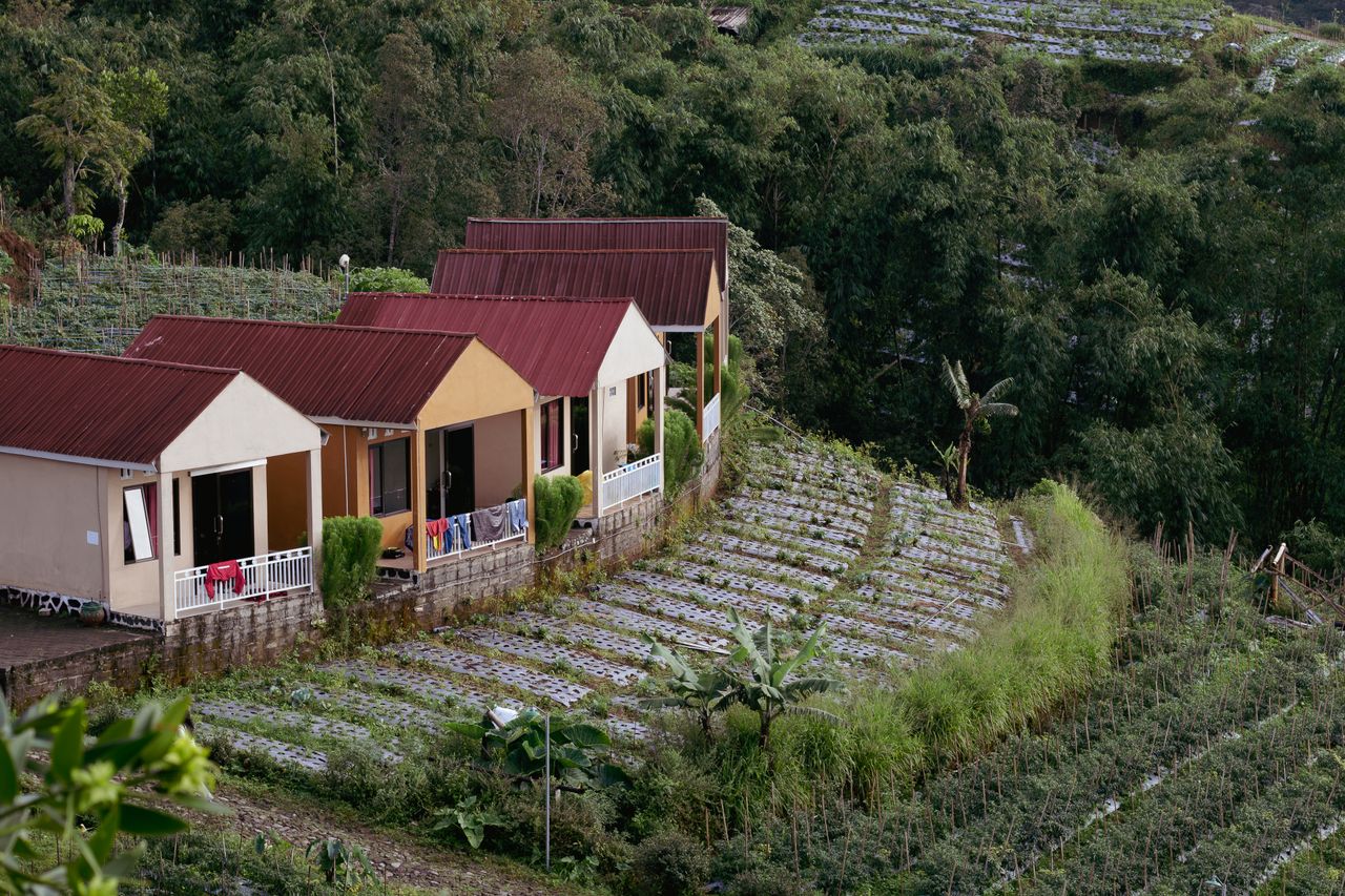 Mastering the First Impression: Your intriguing post title goes here Charming countryside houses surrounded by lush greenery and farmland on a hillside.